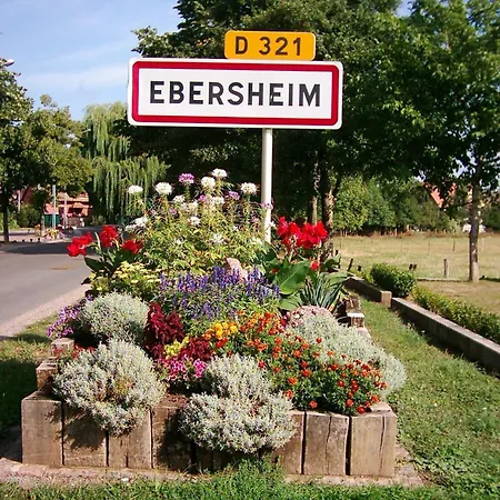 Apartment Maison De Chez Lea - Familial Parking Terrasse Ebersheim