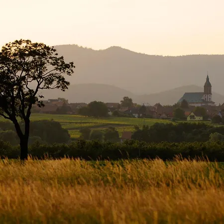 Apartamento Maison de ville chez Léa - gîte familial parking terrasse Ebersheim