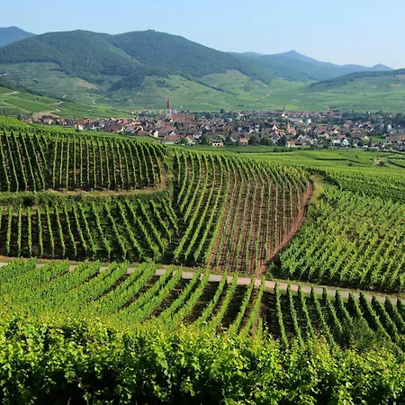Maison de ville chez Léa - gîte familial parking terrasse Apartamento *